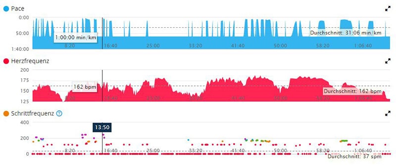 Garmin vivoactive Test im Laufbandmodus