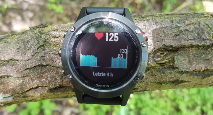 Display Garmin fenix 5 Fitness Uhr Display Garmin fenix 5 Fitness Uhr